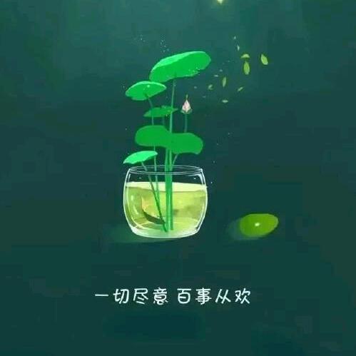 贵在一游