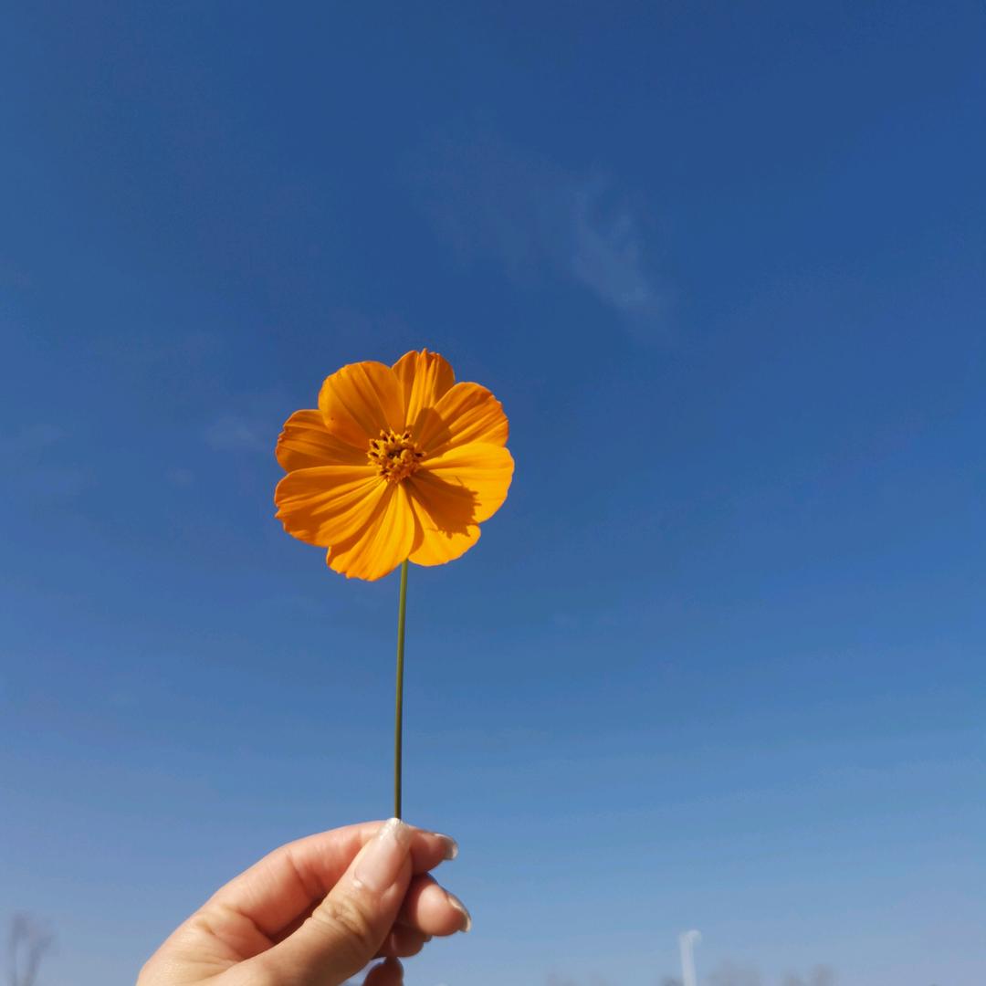 688