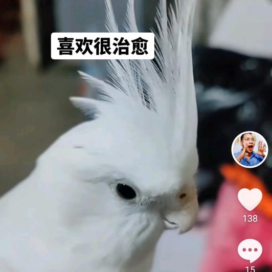 正哥