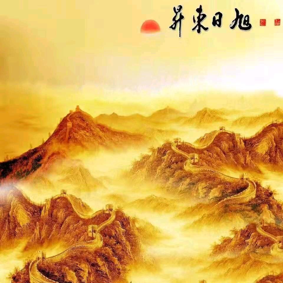 82年的狗狗，欢迎关注一下