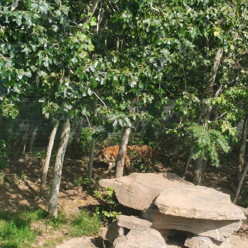 己所不欲，勿施于人