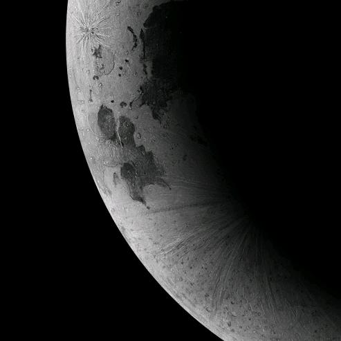掌控