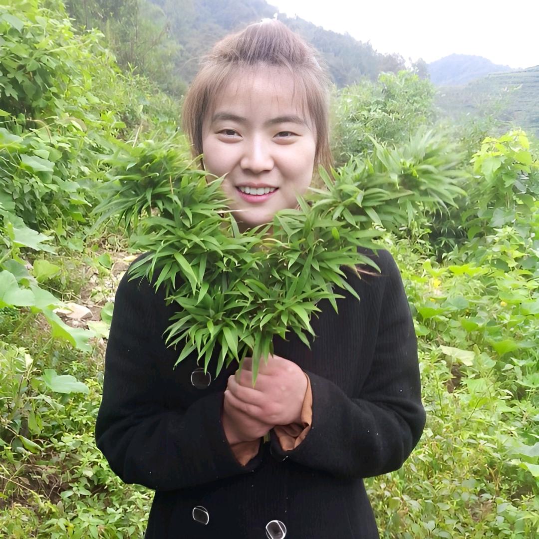 苔痕待春生