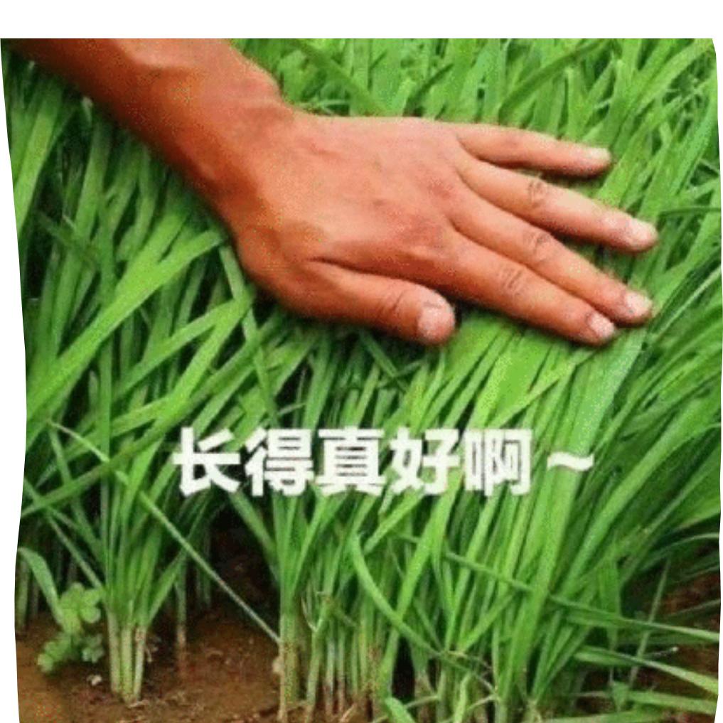 郭里有肉