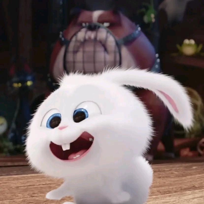 繁花殆尽終成湮雨