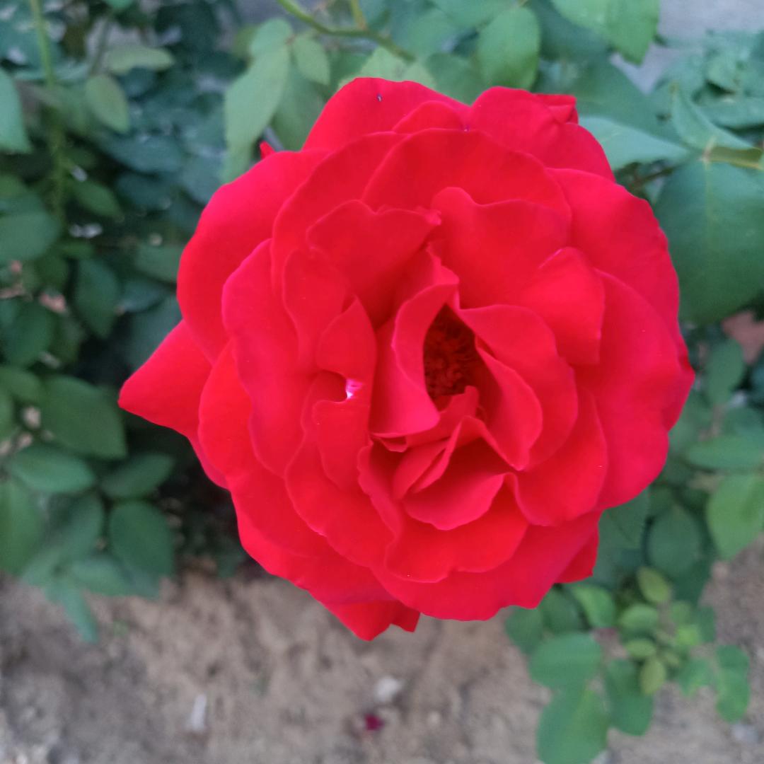 开开心心过好每一天（互粉）