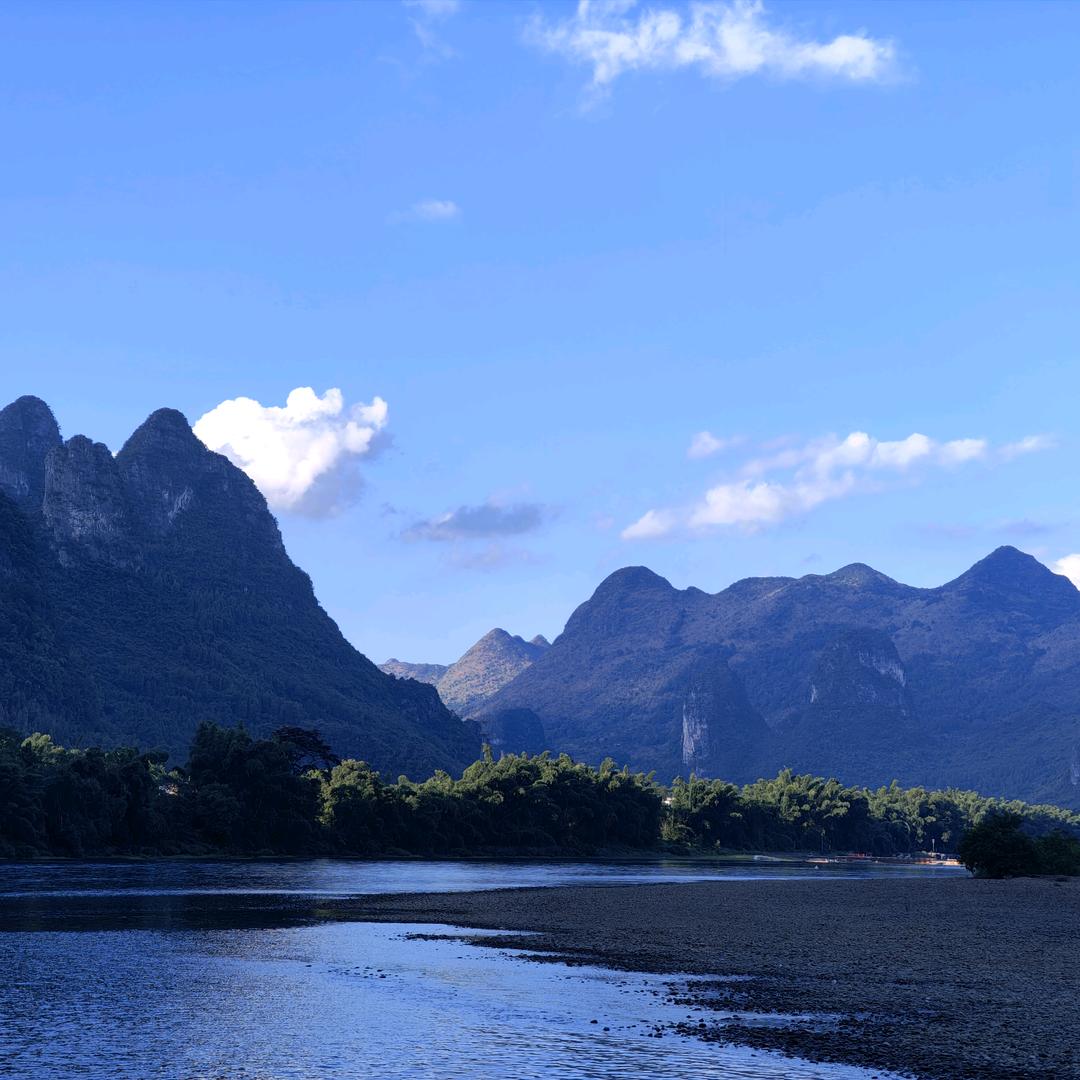 不爱吃萝卜的兔子