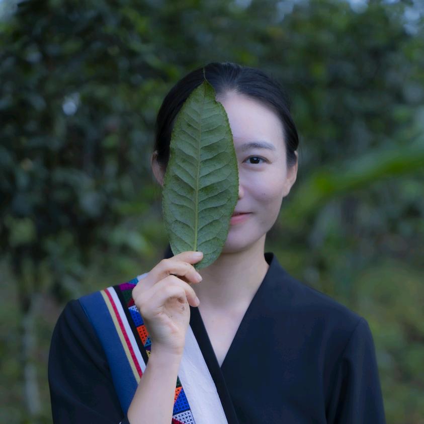 芮淋探茶