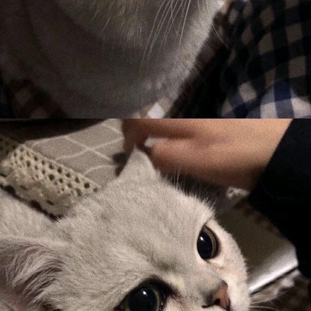 疯子