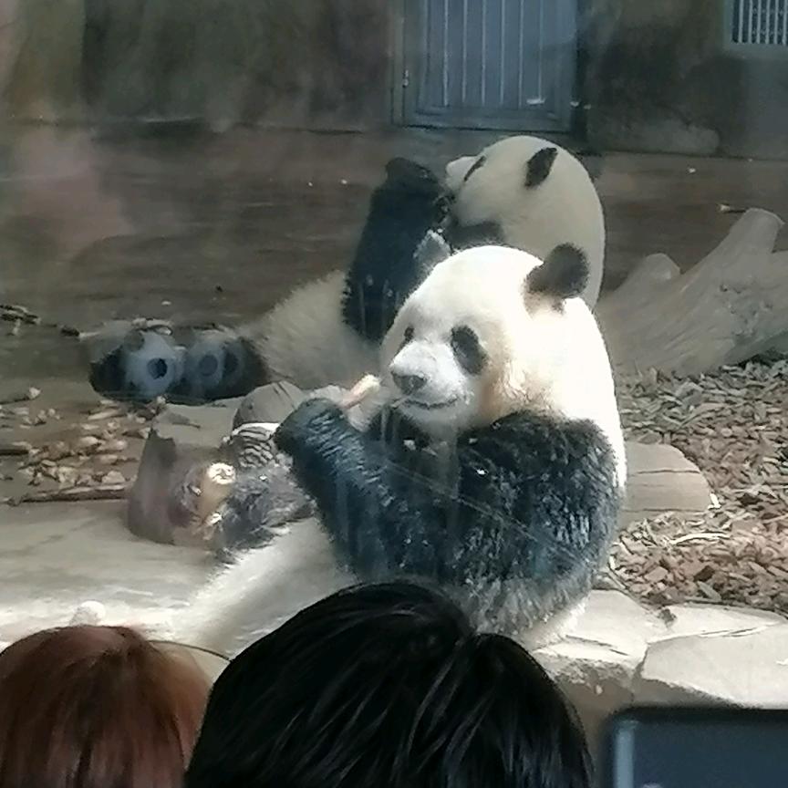 知己庄主高鹏飞