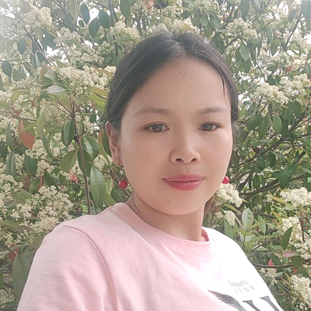 红菊
