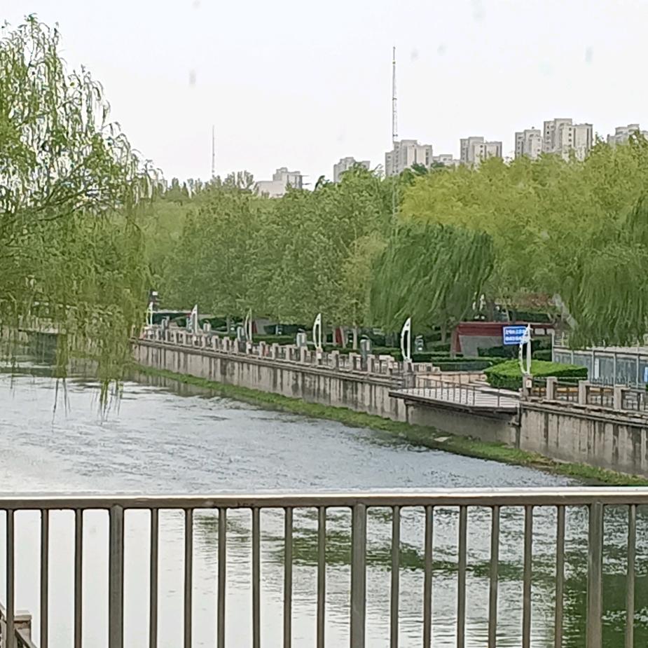 怎么爱你都不闲多