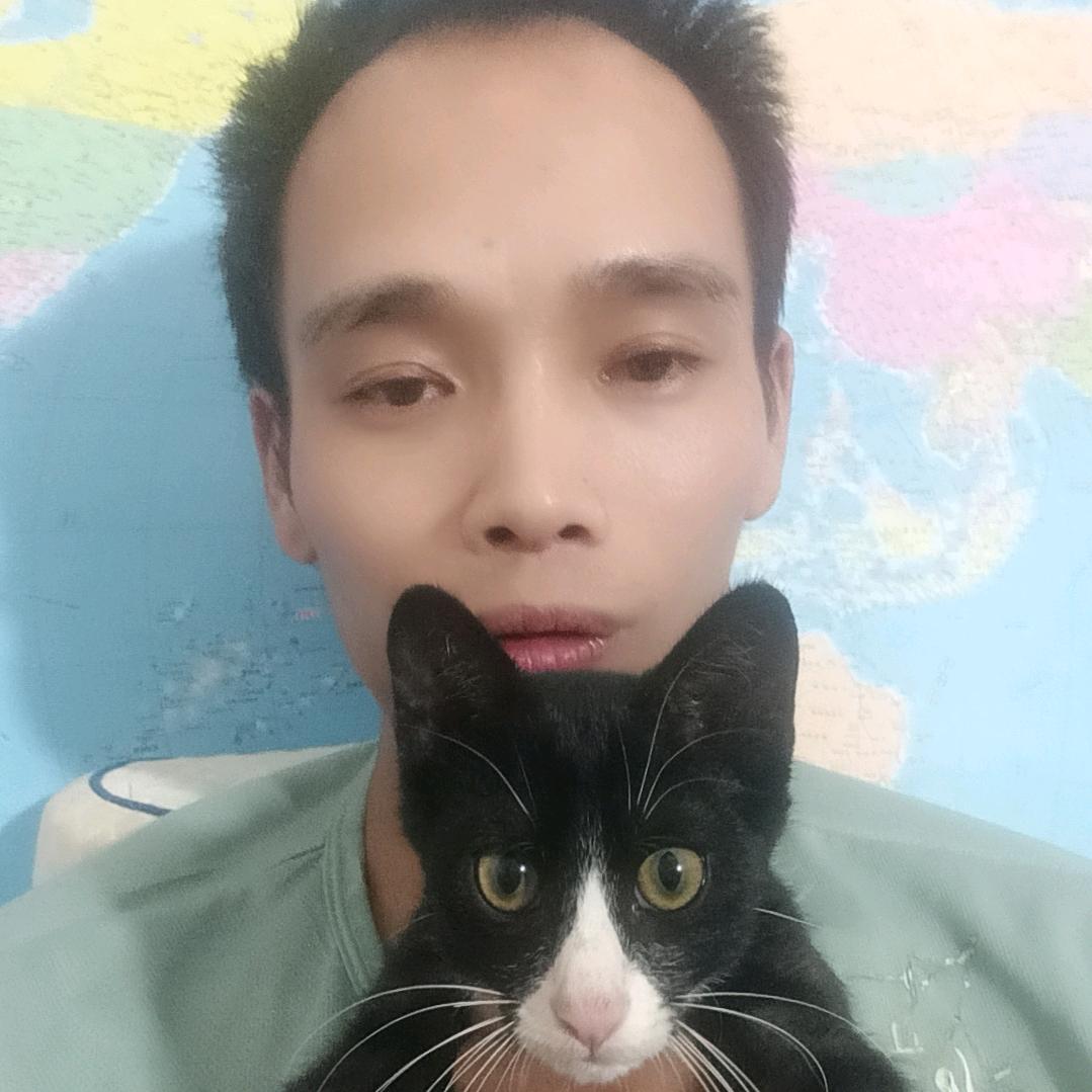 小灵猫🔥头像