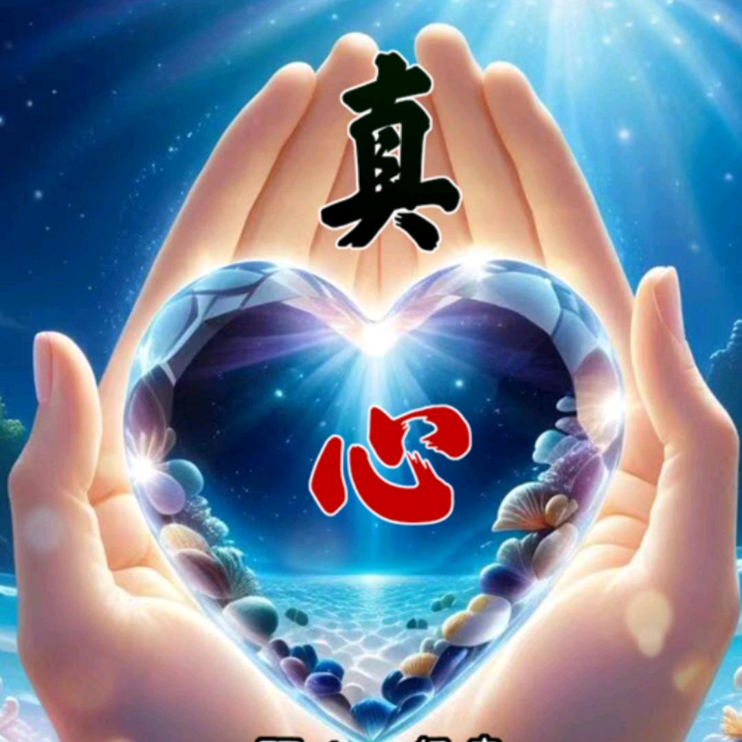 💖星空下的女孩💖