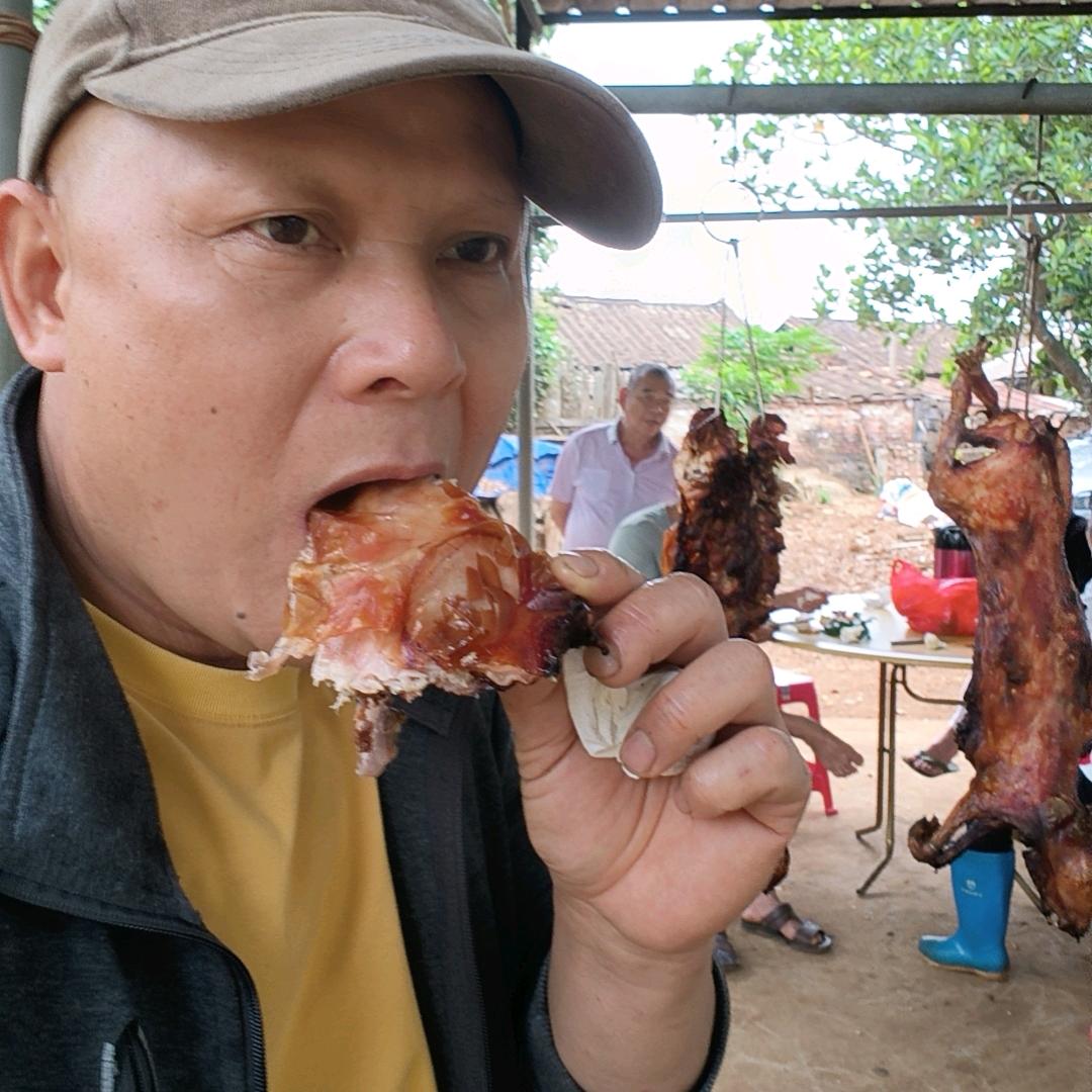 湛江海歌散养兔