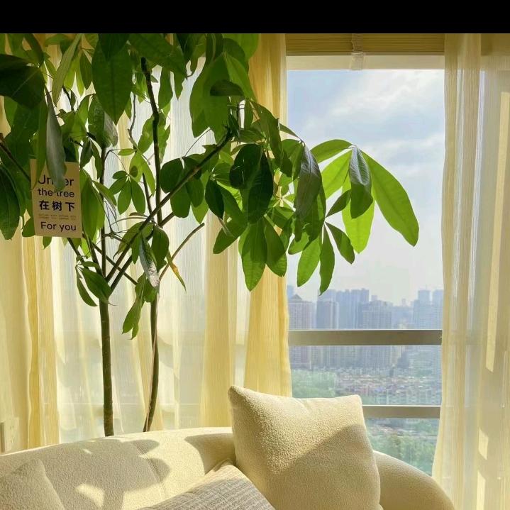 一路狂奔💍✌️