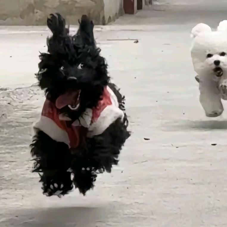 和康体育李教练🥰