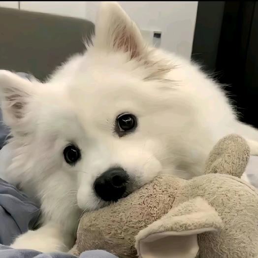 zzzz°