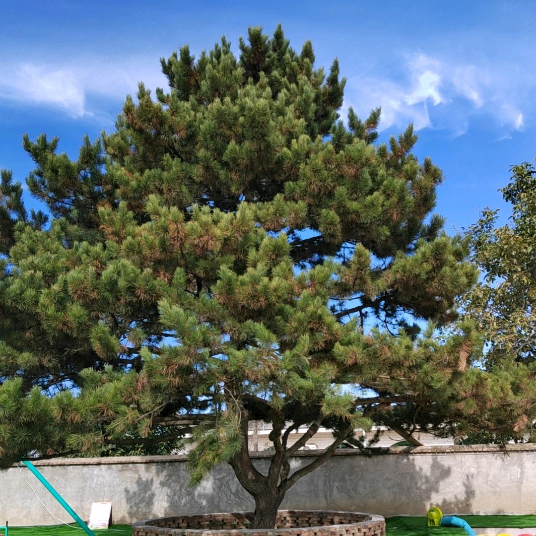 用户6943103593028