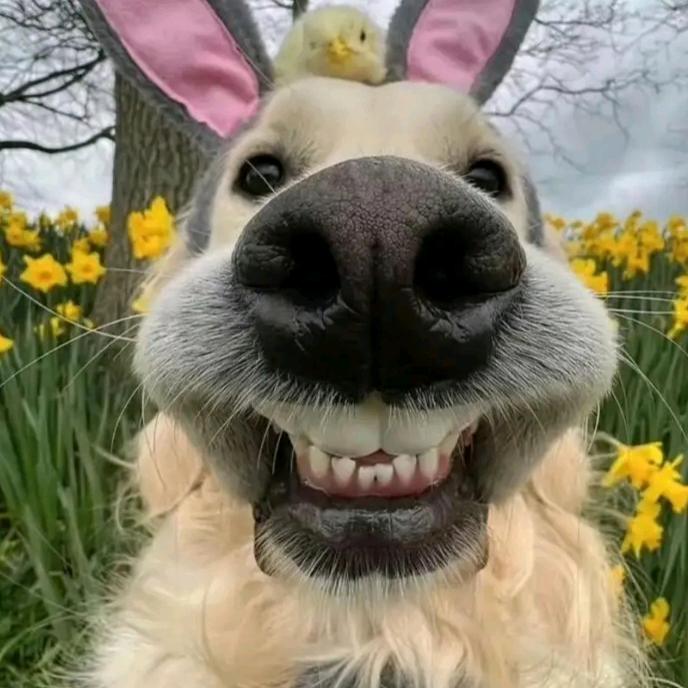 ai爆款视频教学