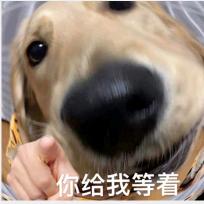 微光––逆水寒