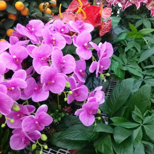 ℋღ᭄郝心情🍒᭄💞࿐