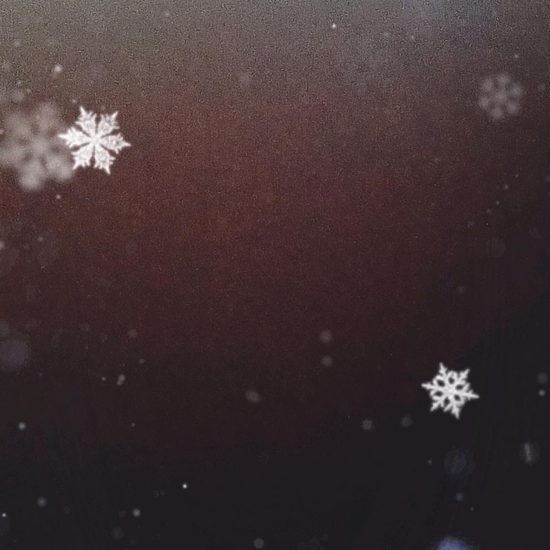 🫑🫑🫑🫑🫑🫑