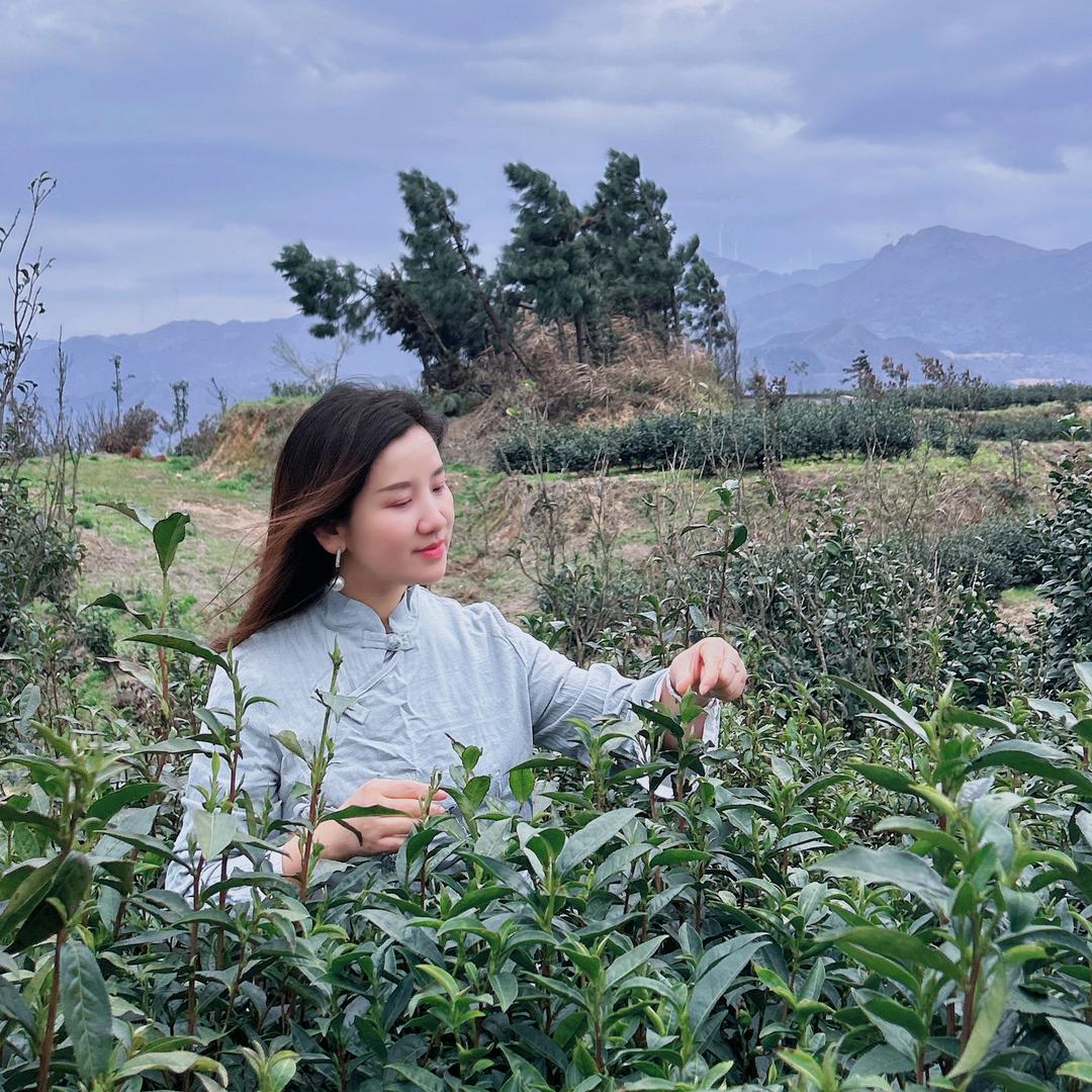 温迪171