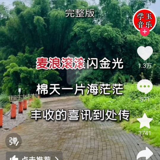 海上飞翔