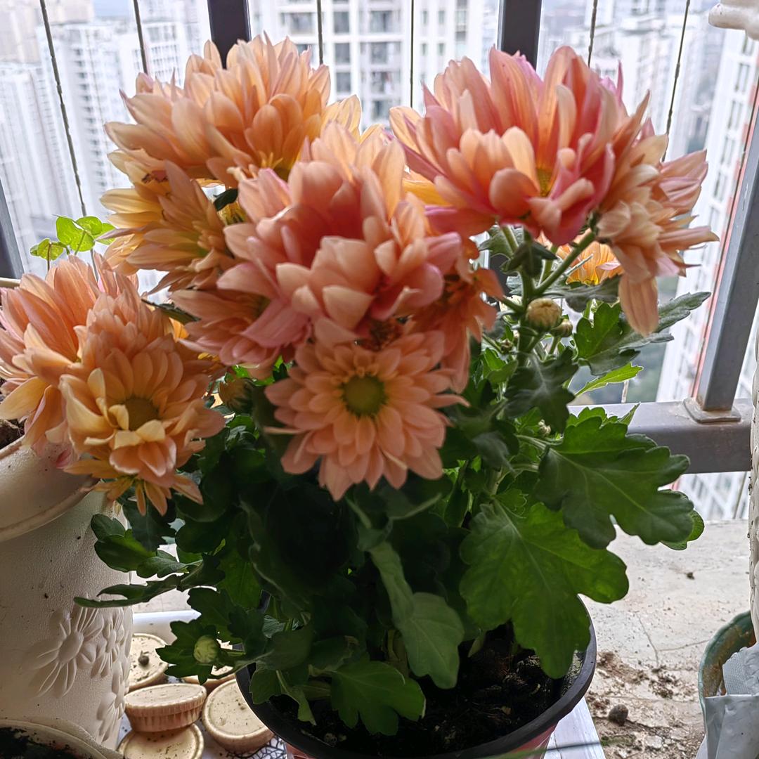🌈萌宝贝比