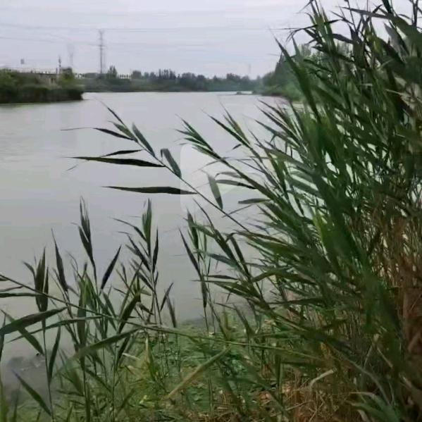 六目12点（明哥在河边）