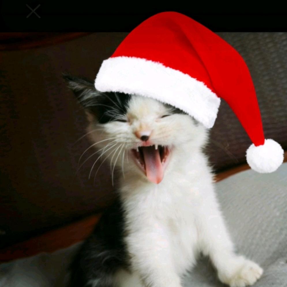 只饮烈酒不谈过往、