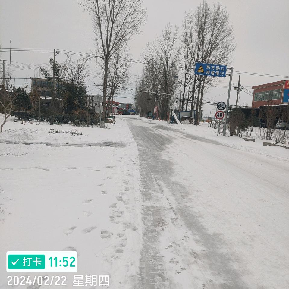 维维