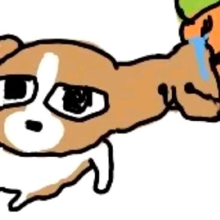 一碗松子饭