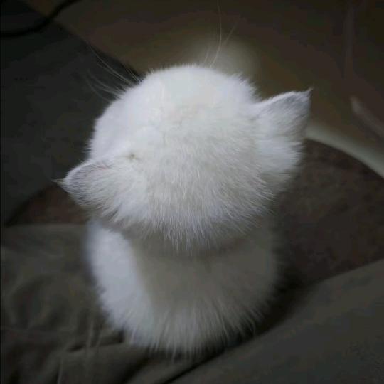 土豆泥拌饭好好吃