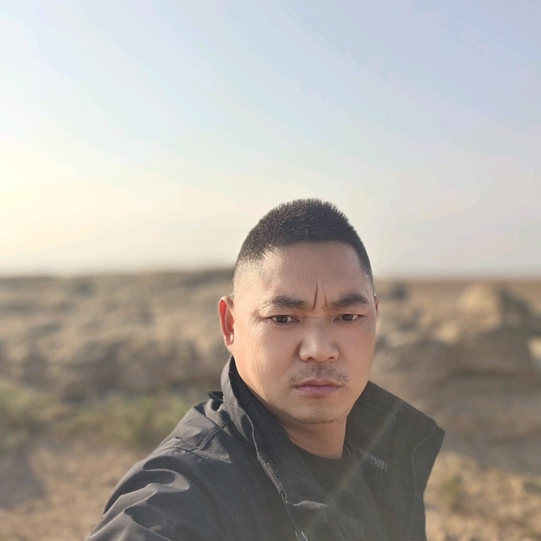 都昌泡桐树苗木基地