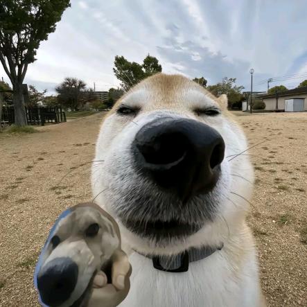 凹凸曼（★StatTrakᵀᴹ）