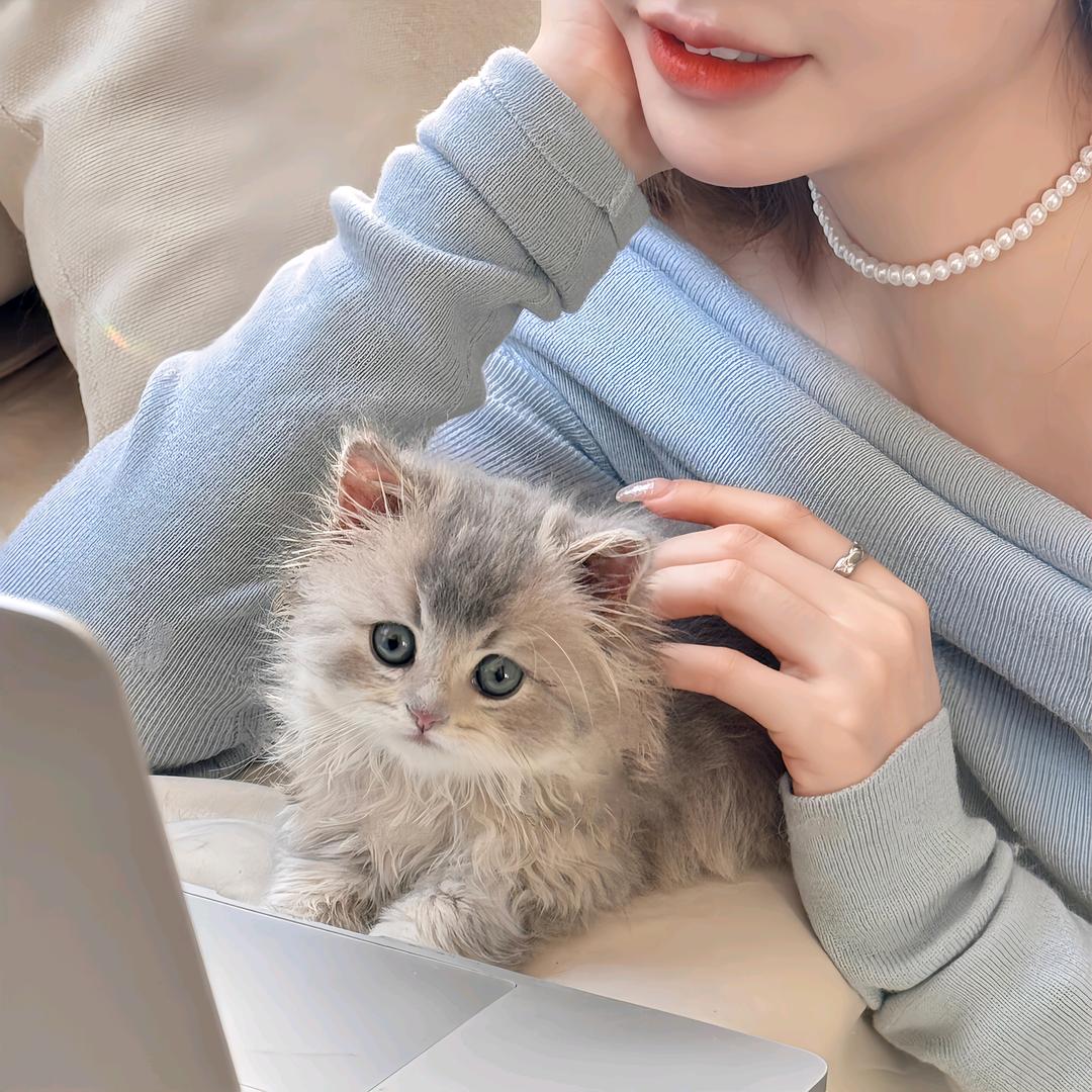 梓涵