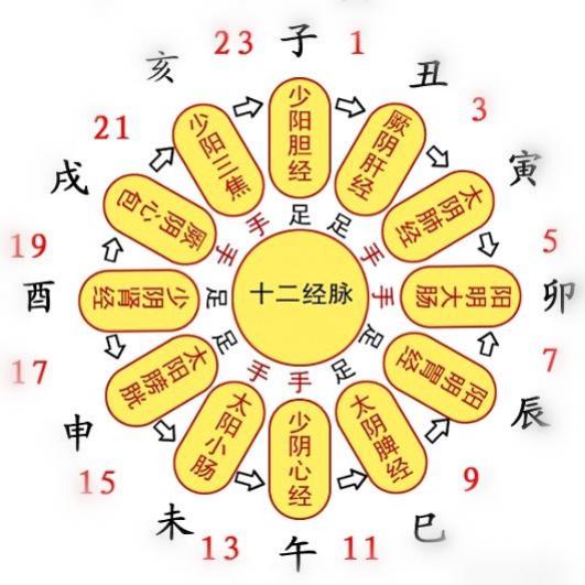 正正爸爸 (钓鱼)