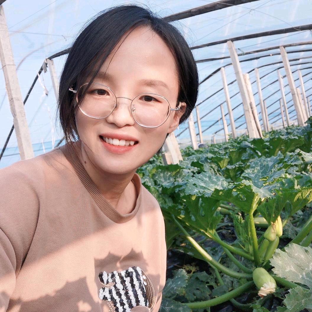 果老六吴老师讲西葫芦