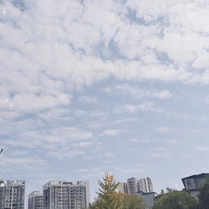 水金浪漫