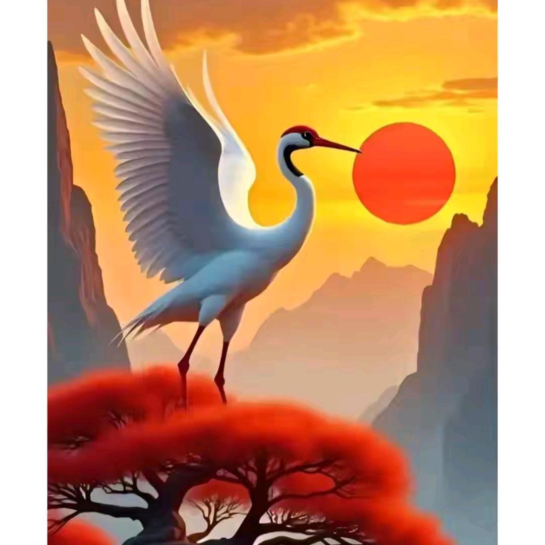 张添哥