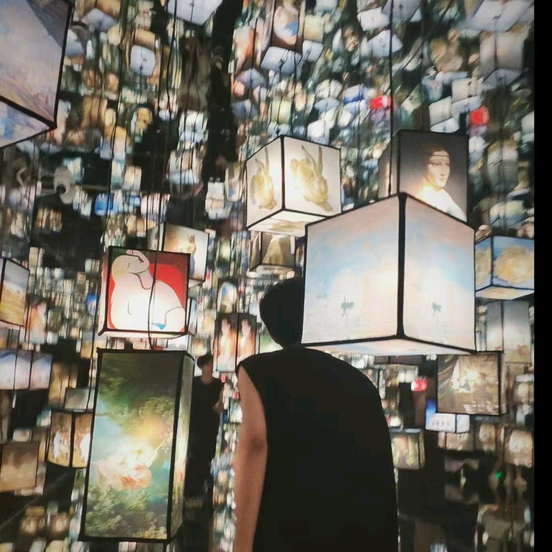 会飞的小海豚🐬