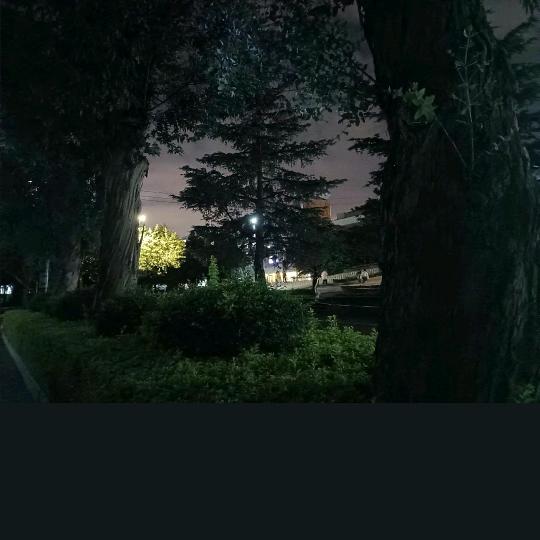 龙标得归
