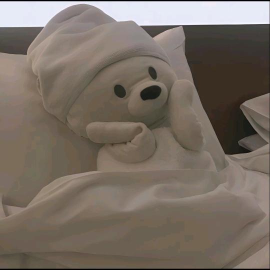 美丽的辽宁公主