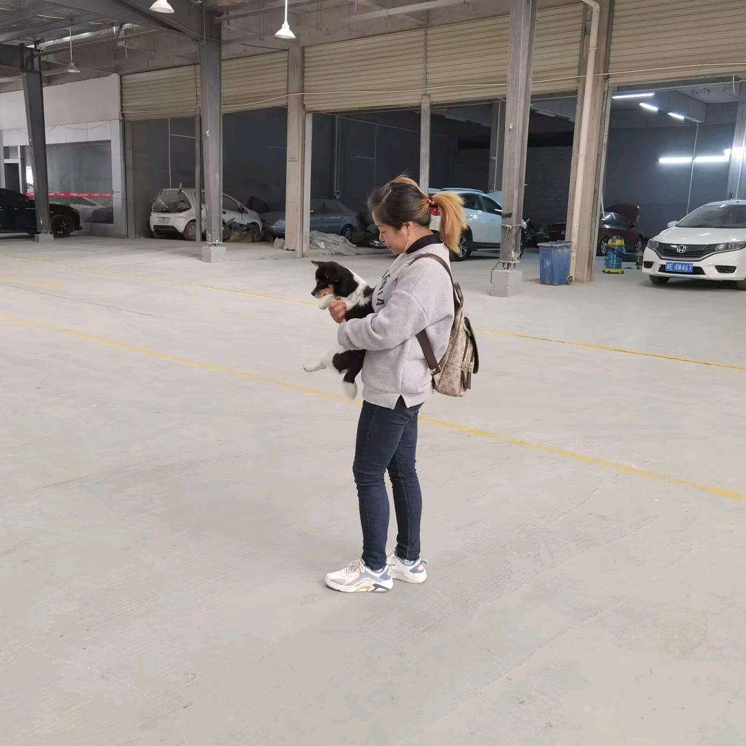 独羽炫舞