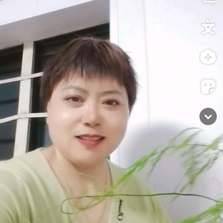 徐桥湾葡萄园