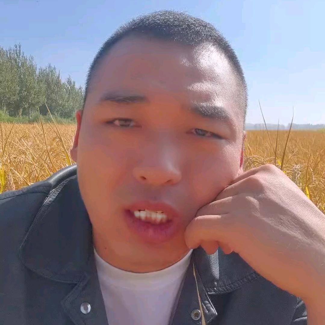 五常稻花香东北特产
