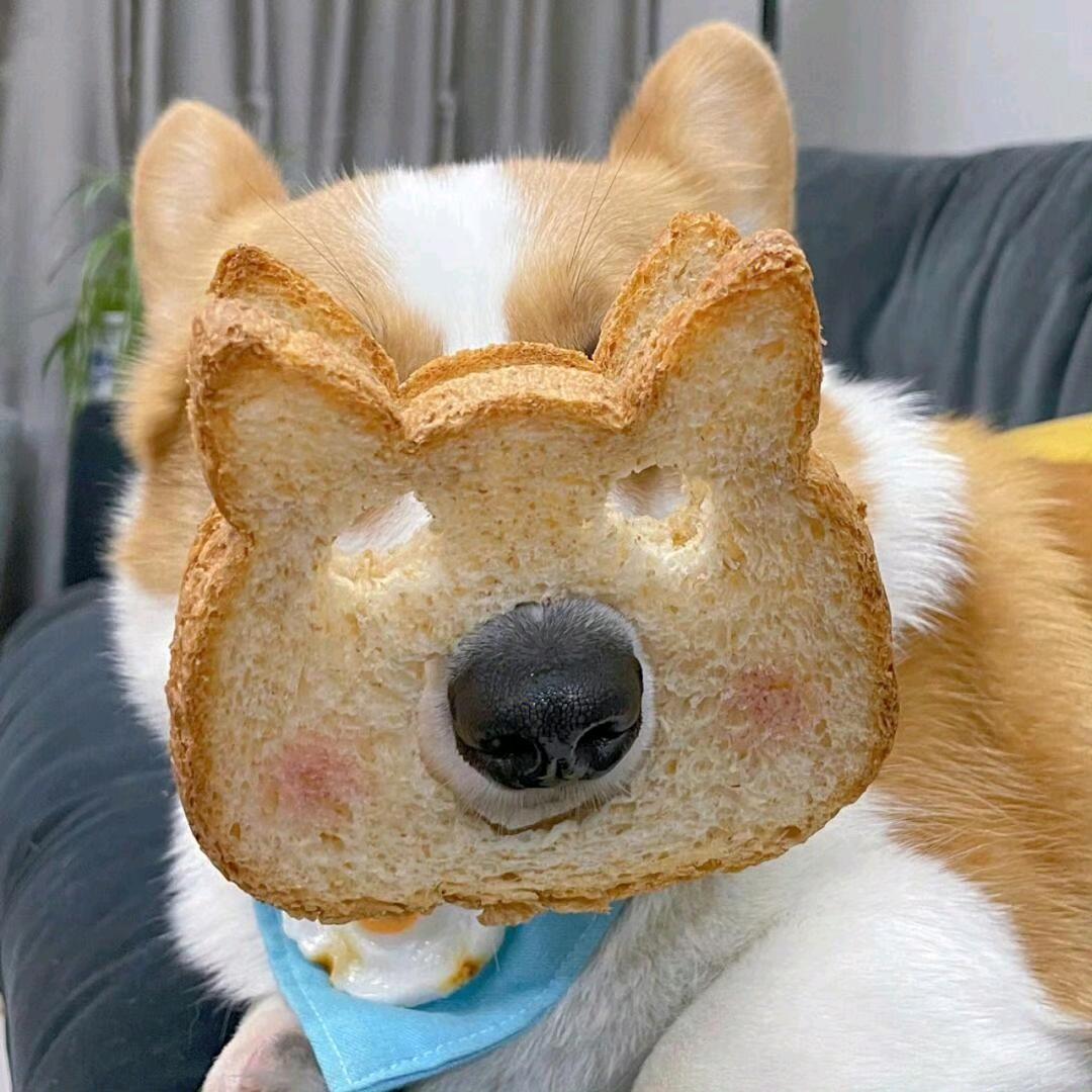 LEO_