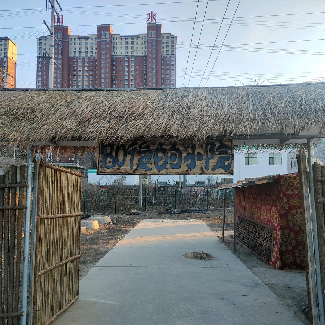 80后的小院